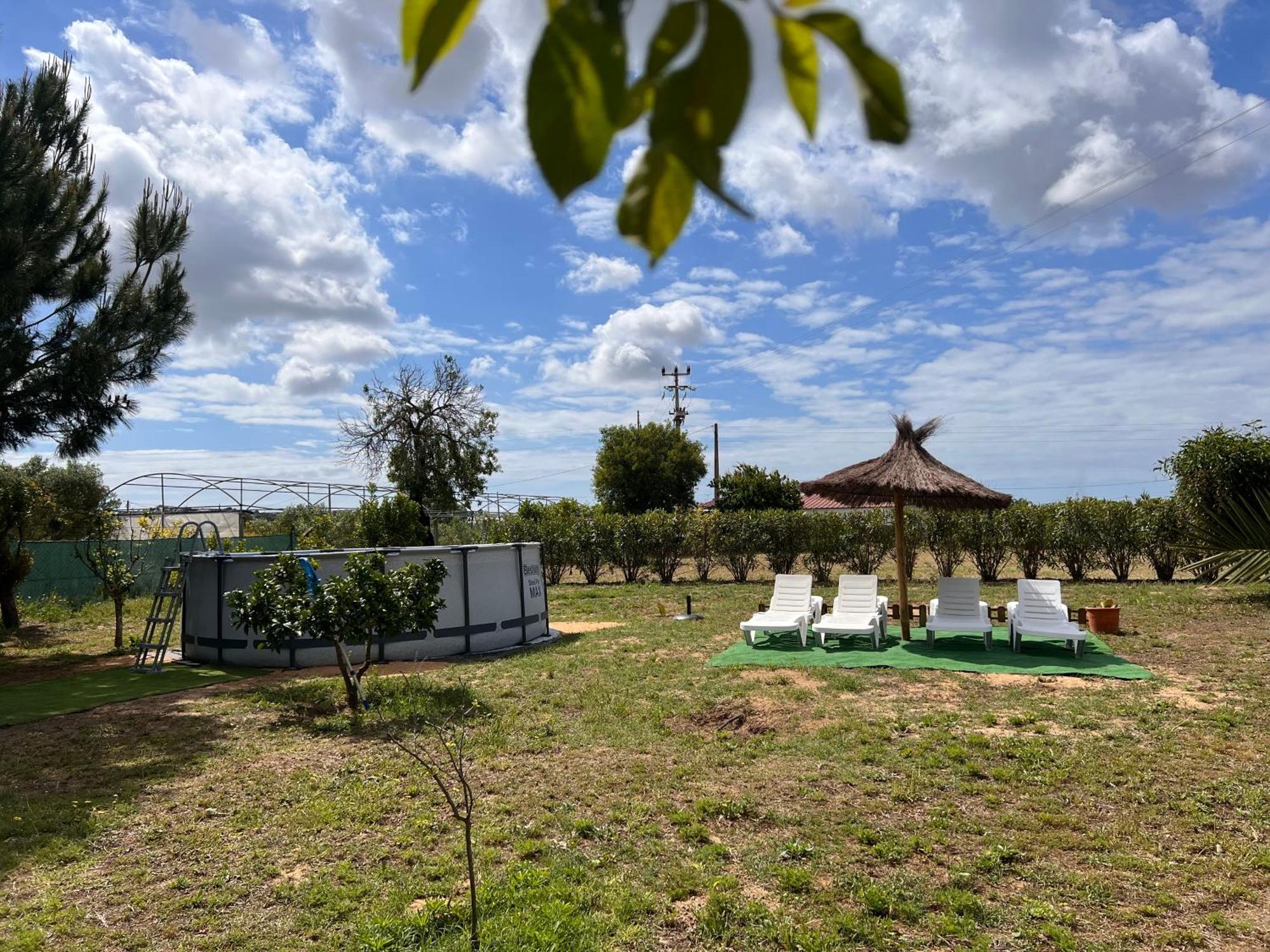 Quinta Dos Viegas Villa FAO Eksteriør billede